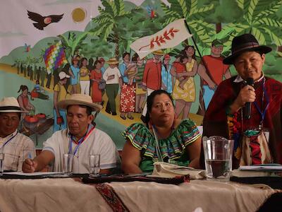 Entre la falta de agua, la minería y los incendios: testimonios retratan las amenazas en los territorios colectivos en Bolivia