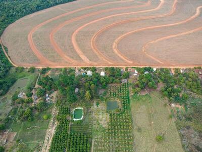 Paisagem de Sorriso (MT): acima, monocultura de soja; abaixo, os lotes de um projeto de produção agroflorestal Foto: Fellipe Abreu/Mongabay