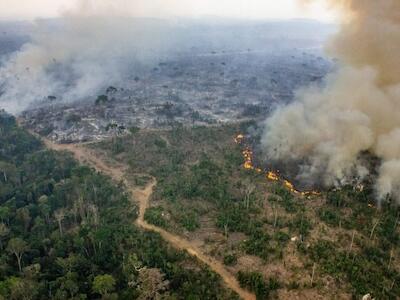 “A destruição da floresta amazônica está acelerando as mudanças climáticas globais”, denuncia Luciana. Foto: Fábio Bispo / InfoAmazônia