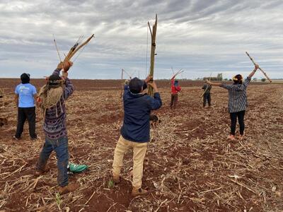 Retomada de área da TI Guyraroká em 2025, visava combater a pulverização de agrotóxicos e pressionar o Estado a retomar procedimento de demarcação. Foto: Renato Santana | Cimi