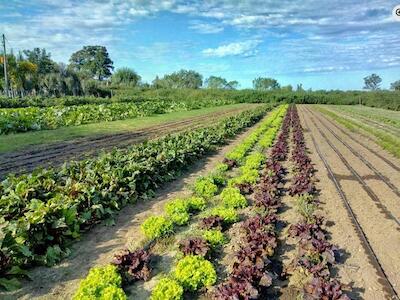 Foto: Mapa agroecológico del sur cordobés