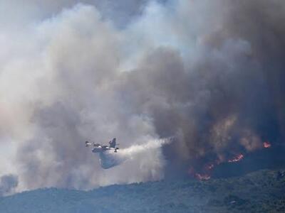 Europa lleva 17.000 hectáreas quemadas