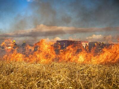 Europa: Lxs campesinxs y ganaderxs sufren el impacto de los incendios forestales, las sequías y las olas de calor, y abogan por la agroecología com...