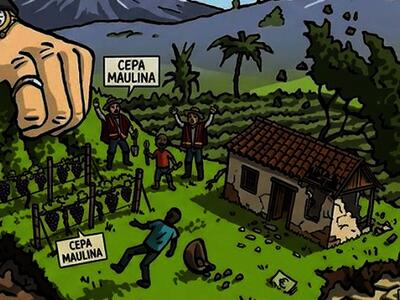 Extranjerización de la tierra en el Maule: JP Morgan adquiere 60.000 hectáreas de CMPC