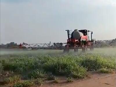Contaminação por agrotóxicos atinge famílias agricultoras do Assentamento Varões de Deus, em Porto Velho (RO). Foto: Registro da comunidade
