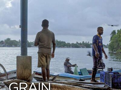 GRAIN en 2025: nuestras principales actividades