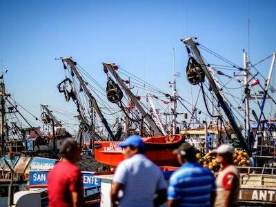 Gremio de pescadores artesanales rechaza proyecto de ley que reactivaría el arrastre industrial de la jibia en Biobío