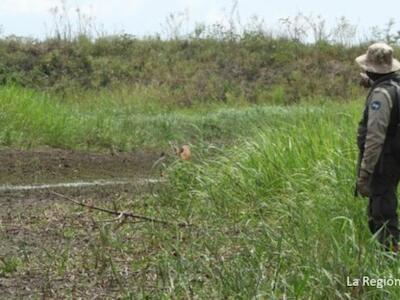 Guardaparques de Bolivia se pronuncian ante censura del Sernap y se declaran en estado de emergencia