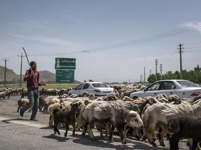 Guerra, gas y hambre: la onda expansiva del conflicto en Oriente Medio en el sistema alimentario