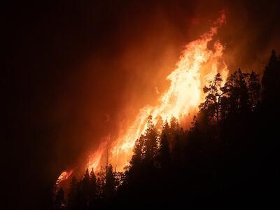 Guerras, incendios e injusticia climática