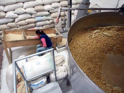 Los agricultores nacionales enfrentan mayores costos y precios de referencia internacionales a la baja, aseguran analistas. Foto José Carlo González