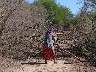 Incendiar, desmontar y criminalizar: el pueblo wichí sigue defendiendo el monte nativo en Misión Chaqueña