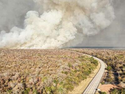 Incendios recurrentes dejan una huella creciente en los territorios de Bolivia  