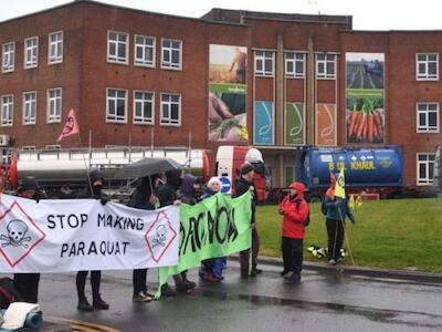 Jaqueada por los “genéricos” y la posibilidad de juicios, Syngenta abandona la fabricación de su herbicida Paraquat