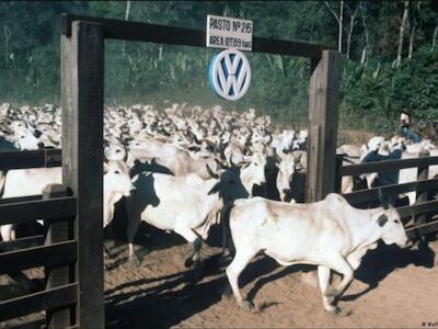 Foto: Wolfgang Weihs/picture alliance