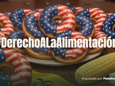 La Corte Constitucional va a decidir quién controla la producción de alimentos en el Ecuador