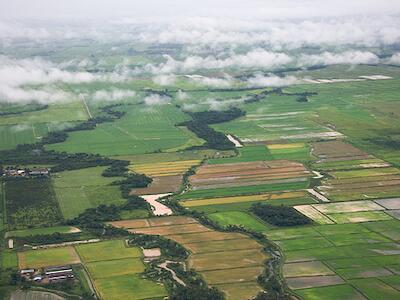 La extranjerización de tierras en nuestro país: un acuciante problema de soberanía