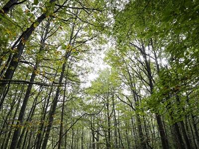 La FAO advierte que 1.560 millones de hectáreas se degradaron