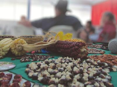 La invasión española, esclavitud taína y agricultura