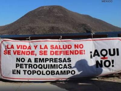 imnoticias - Integrantes del @colectivo_aquino!, la comunidad indígena mayo-yoreme y grupos ambientalistas bloquearon los accesos a la planta de amoniaco de GPO.
