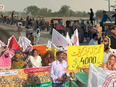 La muerte de los precios justos: el neoliberalismo del FMI y la crisis de los pequeños agricultores de Pakistán