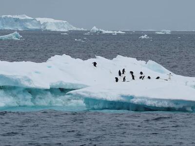 La Antártida perdió el equivalente a 12.820 km² de hielo terrestre en los últimos treinta años, según un análisis basado en datos satelitales/Archivo REUTERS/Natalie Thomas