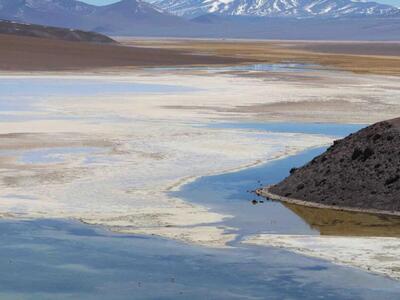 Salar de Maricunga. Fragilidad ambiental.
