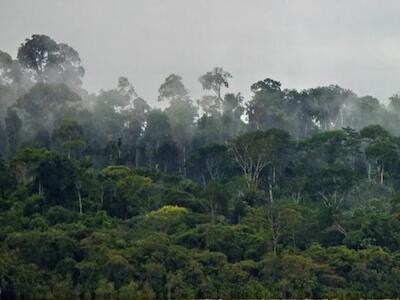 La represa Belo Monte en el río Xingú: 10 años de impactos en la Amazonía y de búsqueda de reparación