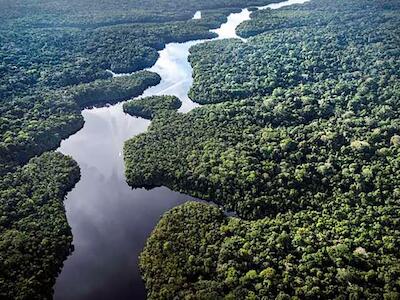 En 2023 y 2024, la señal del radar satelital registró en la Amazonía su menor nivel de humedad y biomasa forestal desde 1992