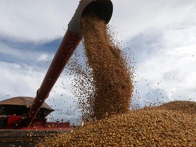 La UE cierra la puerta a los biocombustibles de soja - enero 26, 2026