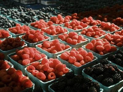 La Unión Nacional de Agricultores (NFU) recomienda que la soberanía alimentaria sea un elemento central en el próximo marco político