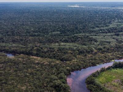 Una de las rutas propuestas para el Tren Bioceánico atravesaría la selva de Ucayali, en Perú. Foto: Sebastián Castañeda/Mongabay Latam