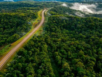 Un documento elaborado por organizaciones ambientalistas señala que la explotación de recursos naturales, impulsada por diversas industrias globales, amenaza gravemente la sobrevivencia y función ecológica de los principales ecosistemas tropicales del mundo