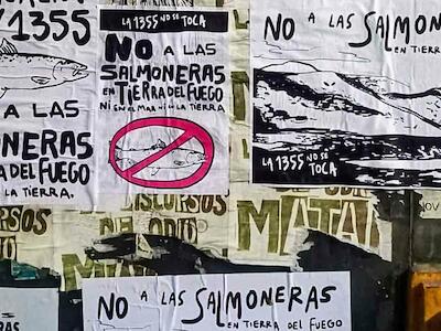 Lejos del pueblo y cerca de las empresas: la Legislatura de Tierra del Fuego habilitó las salmoneras