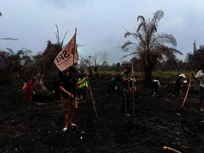 Los incendios forestales están afectando las tierras agrícolas y los medios de vida del campesinado; SPI pide protección y restauración
