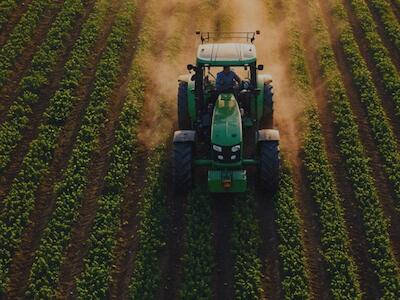 Los nutrientes en los alimentos están disminuyendo 