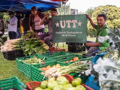 Los que producen alimentos se endeudan para comer: tres de cada cuatro familias campesinas del cinturón hortícola platense están en rojo