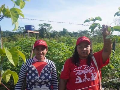 Mãe Terra não é discurso: para camponeses, protegê-la exige enfrentar o agronegócio e a falácia dos governos