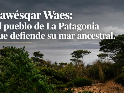 Maniobra de la industria salmonera busca dejar obsoleta la Ley Lafkenche y comunidad Kawésqar responde