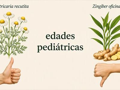 Medicina Natural y Tradicional: sobre el uso de plantas medicinales en los niños