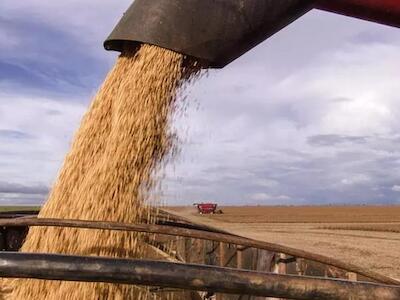 Cosecha de soja en Brasil, achivo EFE]