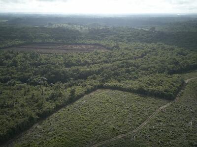 Com licença de instalação do Ipaam, empresa Potássio do Brasil desmata áreas dentro da TI Lago do Soares, do povo Mura, em estudo pela Funai, como mostra foto aérea de dezembro de 2025. Foto: Mariana Greif/Repórter Brasil