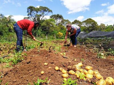 Movimientos populares realizan II Conferencia Internacional de Reforma Agraria en Colombia para “unir esfuerzos colectivos y recuperar la tierra”