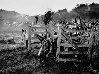 Sebastião Salgado viajou até o Paraná para registrar a ocupação realizada por mais de 15 mil pessoas. O fotógrafo batizou o que viu como “a marcha da coluna humana”. Foto: Sebastião Salgado