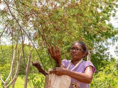 Mujeres plantan bosques y crean biodiversidad