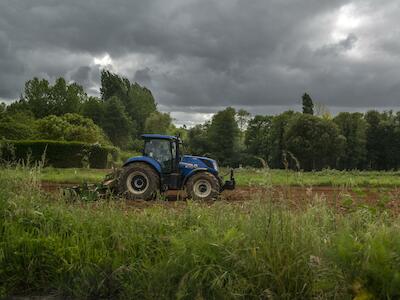 Explotación agrícola en Galicia. Álvaro Minguito