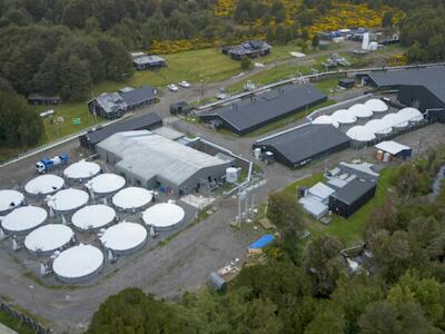 Piscicultura de reproductores y genética de la compañía en la comuna de Chonchi. Foto. InfoSALMON