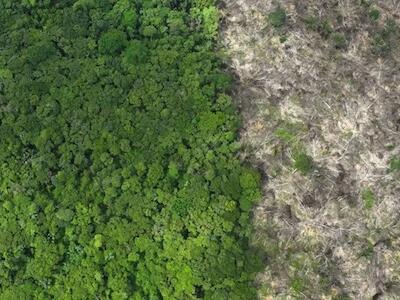 Brasil: área desmatada da Floresta Amazônica - Foto: REUTERS/Ueslei Marcelino