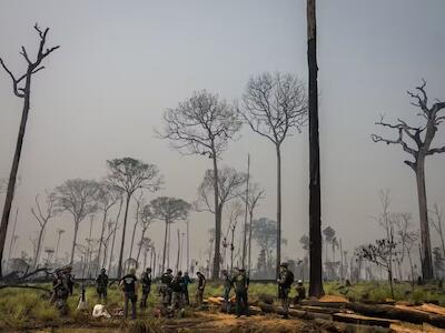Agentes ambientais em operação na Floresta Nacional de Jamanxim, no Pará, uma das mais ameaçadas | Crédito: Vinicius Mendonca/Ascom Ibama