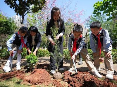 Estudantes plantam mudas em Kunming, capital da província de Yunnan | Crédito: Chen Xinbo/Xinhua
